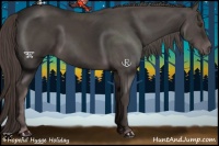 Horse Color:Platinum Liver Chestnut 