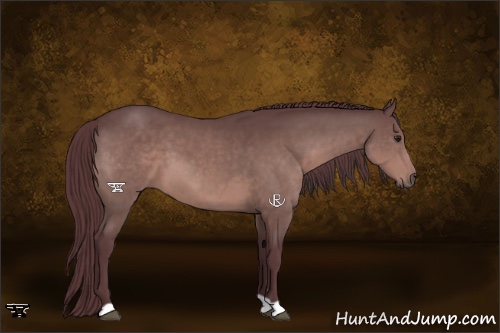 Horse Color:Platinum Chocolate Brown 