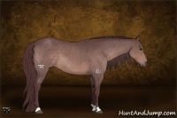 Horse Color:Platinum Chocolate Brown
