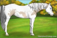 Horse Color:Bay Roan Dun Splash Tobiano 