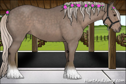 Horse Color:Silver Blue Roan 