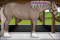 Horse Color:Silver Blue Roan 