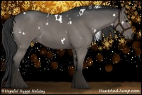Horse Color:White Spotted Blue Roan