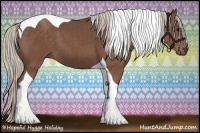 Horse Color:Silver Black Tobiano 