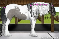 Horse Color:Blue Roan Tobiano