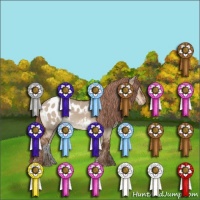 Horse Color:Liver Red Dun Roan Appaloosa Rabicano 