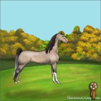 Horse Color:Brown Dun Varnish Brindle 