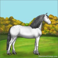 Horse Color:White Spotted Brown Chinchilla Onyx Varnish Brindle