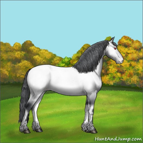 Horse Color:Bay Chinchilla Onyx Appaloosa Brindle 