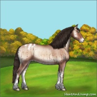 Horse Color:Sable Champagne Onyx Appaloosa Rabicano 