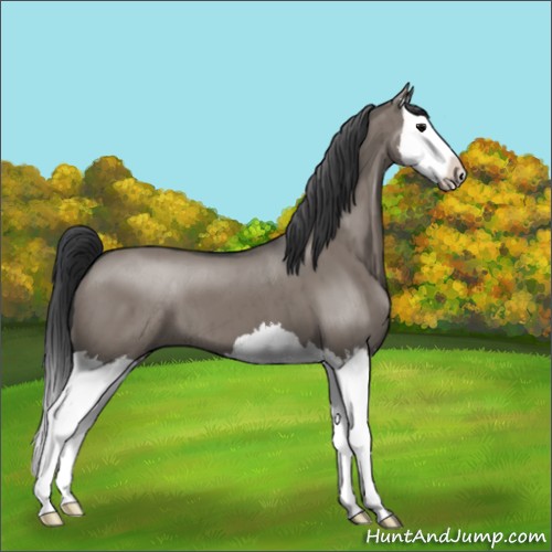 Horse Color:Grullo Splash Brindle 