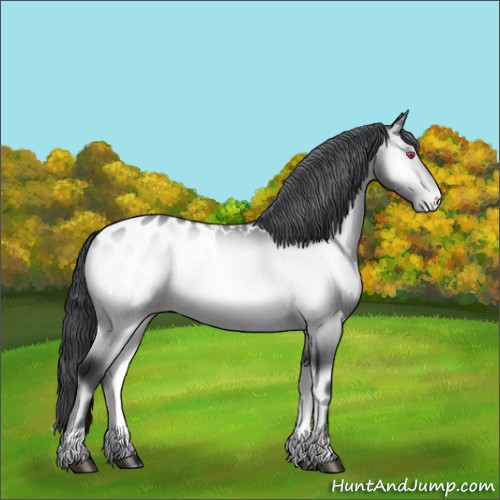 Horse Color:Brown Chinchilla Onyx Appaloosa Rabicano