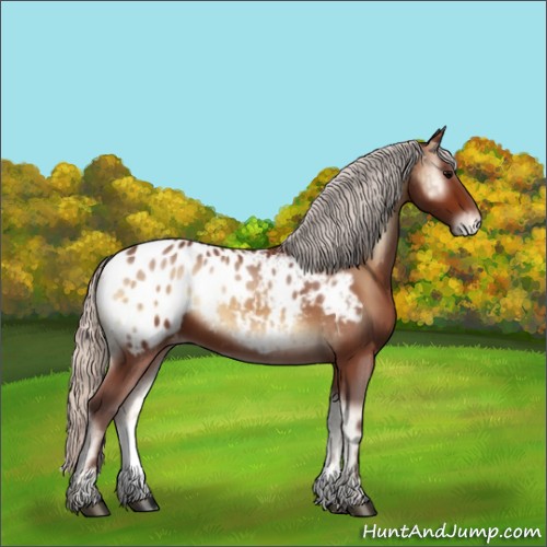 Horse Color:Silver Bay Onyx Appaloosa Brindle 