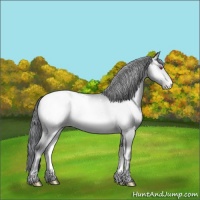 Horse Color:Sable Champagne Chinchilla Onyx Snowcap Rabicano Brindle