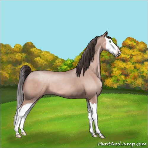 Horse Color:Sable Champagne Splash 