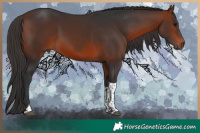 Horse Color:Bay Tobiano 