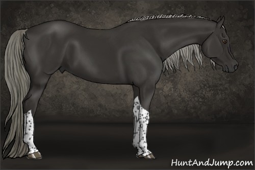 Horse Color:Liver Chestnut Tobiano 