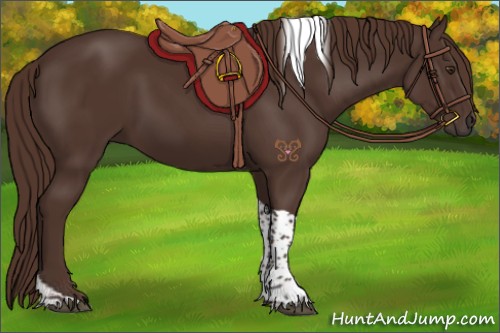 Horse Color:Liver Chestnut Tobiano 