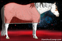 Horse Color:Bay Tobiano Near Leopard