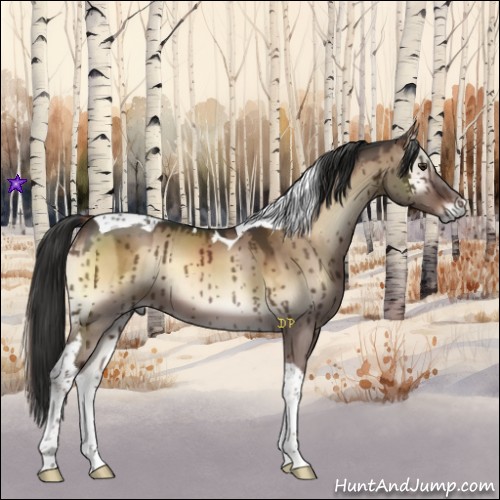 Horse Color:Liver Red Dun Onyx Tobiano Brindle 