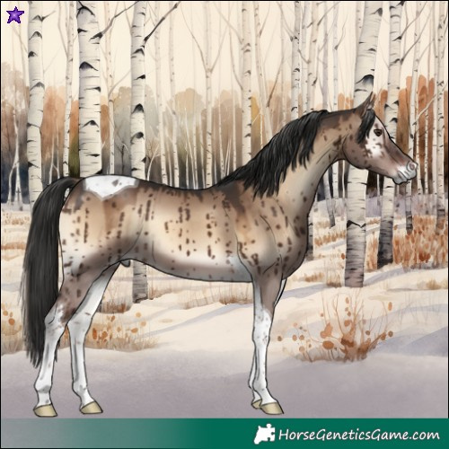 Horse Color:Liver Red Dun Onyx Tobiano Brindle