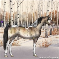 Horse Color:Liver Red Dun Onyx Tobiano Brindle 