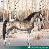 Horse Color:Liver Red Dun Onyx Tobiano Brindle 