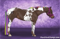 Horse Color:Painted Liver Chestnut Tobiano 
