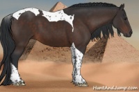 Horse Color:Brown Tobiano