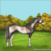 Horse Color:Liver Red Onyx Splash Tobiano 