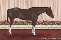 Horse Color:Liver Chestnut Tobiano 
