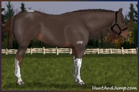 Horse Color:Liver Chestnut Tobiano Rabicano 