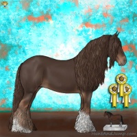 Horse Color:Liver Chestnut Tobiano Rabicano 