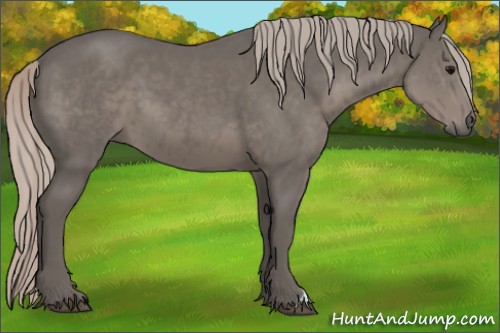 Horse Color:Silver Black 