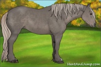 Horse Color:Silver Black 
