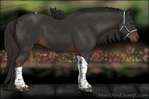 Horse Color:Liver Chestnut Tobiano 