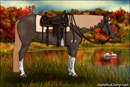 Horse Color:Liver Chestnut Tobiano 