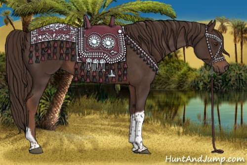 Horse Color:Liver Chestnut Tobiano 