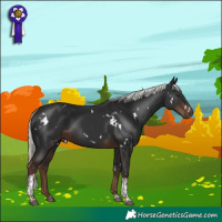 Horse Color:White Spotted Liver Chestnut Mushroom Tobiano 