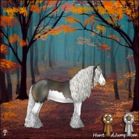 Horse Color:Liver Chestnut Mushroom Splash 