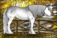 Horse Color:Silver Brown Chinchilla Roan Splash 