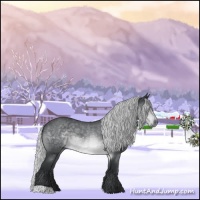 Horse Color:Silver Brown Chinchilla Roan 