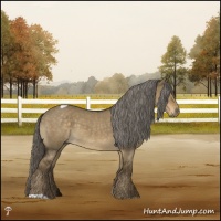 Horse Color:Chocolate Palomino Dun Mushroom Tobiano Rabicano 