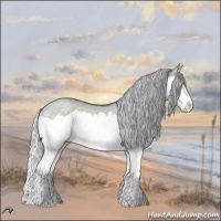 Horse Color:Silver Grullo Chinchilla Splash