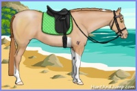 Horse Color:Bay Pearl Sabino Tobiano Rabicano 