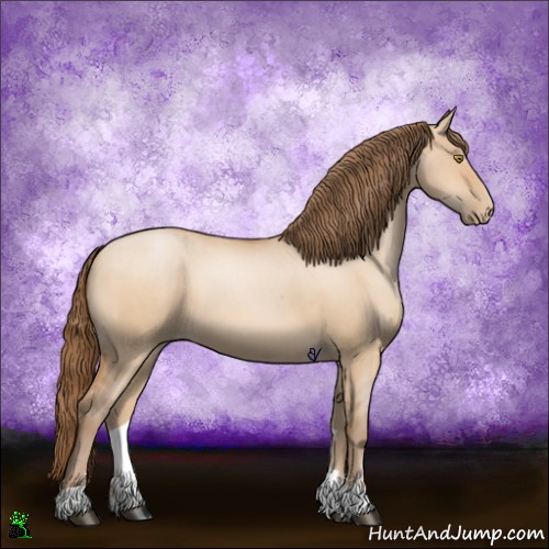 Horse Color:Bay Pearl Dun Sabino 