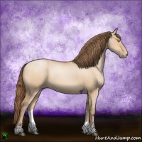 Horse Color:Bay Pearl Dun Sabino 