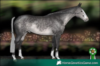 Horse Color:Platinum Silver Buckskin 