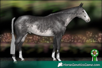 Horse Color:Platinum Silver Buckskin 