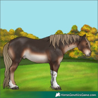Horse Color:Liver Chestnut Tobiano 